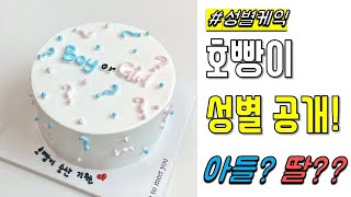 호빵이 성별 공개! 호빵 is 아들? 딸?? #성별케이크 #Gender_reveal #임밍아웃