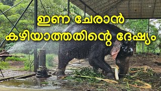 നീരിൽ കേശവന്റെ പരാക്രമം ||puthenkulam keshavan||