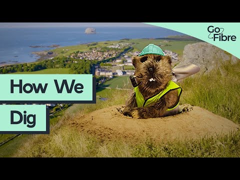 Gofibre How We Dig Youtube