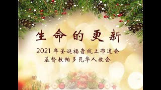 意大利帕多瓦教会12月25日圣诞福音布道会——生命的更新