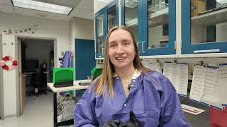 HCSO International Day of Women and Girls in Science