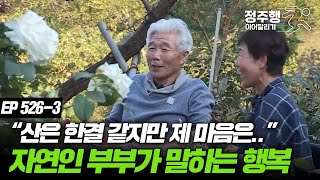 [#나는자연인이다] [526-3] 자연인 부부와 함께하는 평화로운 날들 #정주행_이어달리기