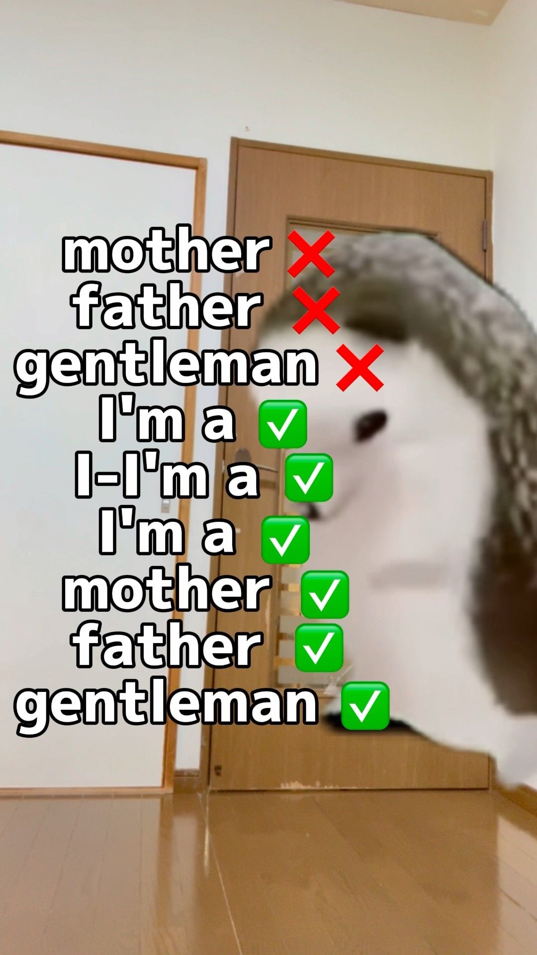 Mother Father Gentleman Meme Hedgehog Hedgehogmemes Psy Gentleman Mother Father Gentleman Meme Hedgehog Hedgehogmemes Psy Gentleman