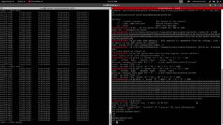 Linux Buffer Overflow | Shellcode