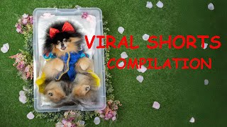 Most VIRAL Shorts Compilation of 2024