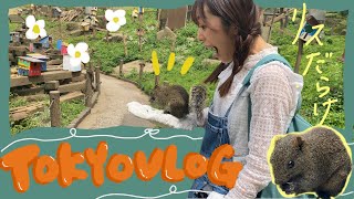 【tokyovlog】リスまみれになれる癒しスポット町田リス園に行ってきた🐿️🐿️🐿️東京ドライブ旅行|IKEA立川