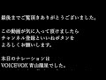 シジュウカラとスズメの静かな午後のひと時。自作バードフィーダーでお手軽野鳥観察。