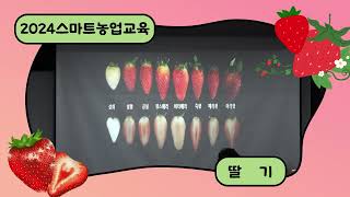 🍓딸기 화아분화 유도 및 정식 전 스마트 환경관리 기술(스마트농업 실용 교육)