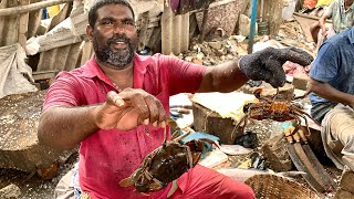 ALIVE CRAB CUTTING | CRAB CUTTING SKILLS | CRAB CUTTING VIDEOS #KASIMEDU | UK SONS MARINE