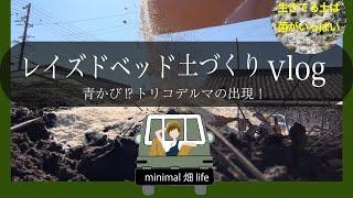 レイズドベッド土作りV log 青かび！トリコデルマの出現！？