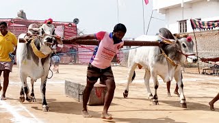 బిజినపల్లి 4 పళ్ళ విభాగం ఎద్దుల బండలాగుడు పోటీలు 4వ జత-ongole cattle race-bull-oxen-edhula panduga