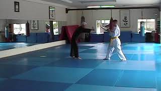 Private Hapkido lesson with Grandmaster Bong Soo Han 2005