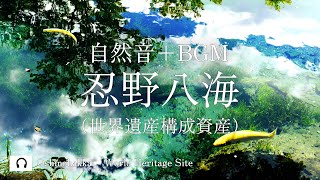 [自然音+BGM] | 忍野八海|癒しの高音質リラックス映像｜作業用　瞑想　ASMR Oshino Hakkai UNESCO World Cultural Heritage site