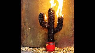 Кактус 🌵  #втораяжизньжелезяк #sasimovichvasya #welder #cactus #fire