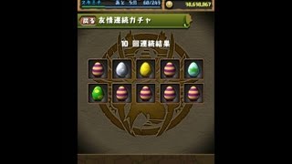 パズドラ「800万DL達成記念イベント 友情ガチャ」50連