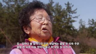 [남도지오그래피] 아그들 보거라 - 함평 맹산댁의 편지 (17.03.15)