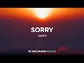 Leviro - Sorry