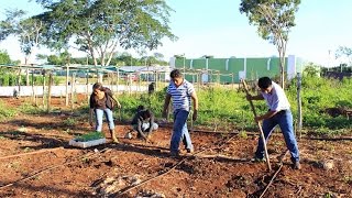 Implementación de las Nuevas Tecnologías en la Agricultura - TvAgro por Juan Gonzalo Angel