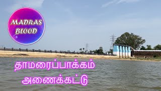 தாமரைப்பாக்கம் அணைக்கட்டு