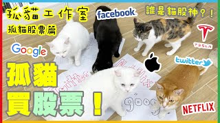 Lwoavie Cat Investment Ticket Stock Luck Test Contest! (Who is the cat stock god?)