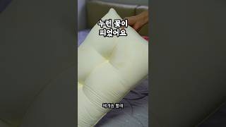 베개솜 빨래