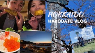 【函館国際ホテル】VLOG/春の函館観光/満開の桜お勧めの五稜郭公園／猿山/函館山／大沼公園/大沼団子/函館国際ホテル朝食ブッフェ