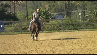 Reining Whiz 2009 09 25 08 43 14