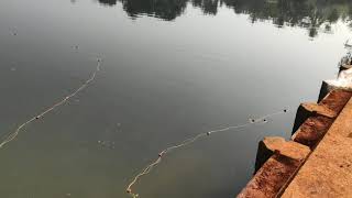 Shambhavi river fishing