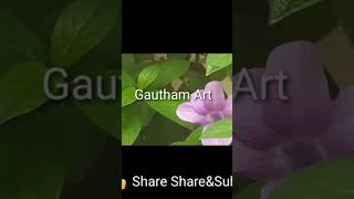 cute flower 🌼🌷⚘️/Gautham Art