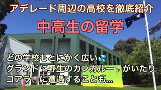 豪州 南オーストラリア州 アデレード 中学留学 高校留学にお勧め！！！　　　　　　　　　　　　  　　　　　授業やクラブ活動の様子や現地校のご紹介編　生徒のインタビューもあります