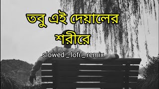Oniket Prantor (Lofi Remix) | Lyrics Video | তবু এই দেয়ালের শরীরে ❤️🥀 |Artcell |
