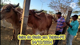 Feira de Gado em Tabira-PE / preços das juntas e Boi de carro dia 24/12/24