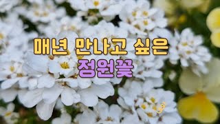 매년 봄 다시 찾는 정원꽃 15종 소개/ 온실 꽃 정리