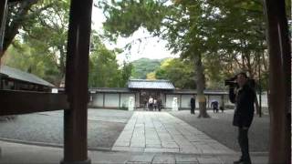 D070【神奈川】鎌倉ハイキング-3＜長谷寺～鎌倉大仏＞