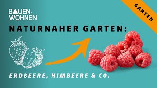 Naturnaher Garten: Erdbeere, Himbeere \u0026 Co - alles frisch aus dem eigenen Anbau