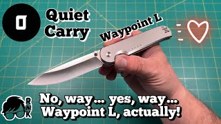 Review/impressions of my Quiet Carry Waypoint L knife with a Vanax hollow ground blade