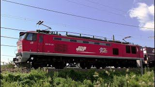 ﾚｯﾄﾞｻﾝﾀﾞｰEF510-23牽引高速貨物4095ﾚ　名古屋→米原→新潟【4K】