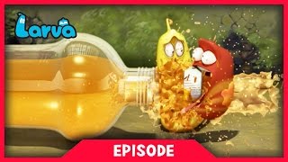 LARVA - ORANGE SODA | 2017 Cartoon Movie | Cartoons | Comics | 라바 | LARVA Official