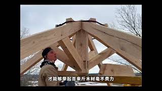 #解压 #野外建造 #庇护所建造