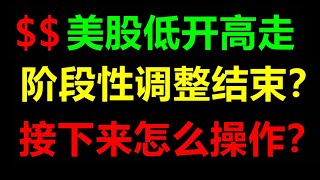 美股老司机：美股大盘低开高走！三大指数全线上涨！接下来怎么操作？SPY QQQ TSLA NVDA AAPL AMZN MSFT AMD META SQQQ TQQQ GOOG 2.1