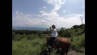 マウンテンライディング　2022年7月13日 　サウスヒルステーブル　霧島　乗馬　ウェスタン　カウボーイ　鹿児島　宮崎　都城　馬術　外乗　森林