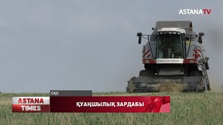 Қуаңшылық  диқандар еңбегін зая етті