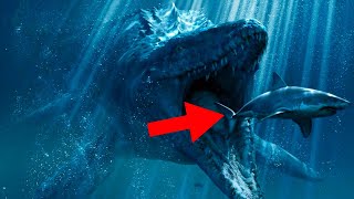 The Mystery of the Giant White Shark Eaten by a Monster Solved!