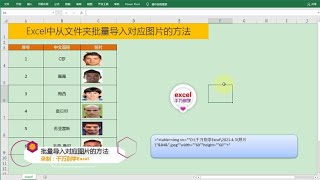 Excel教學 | Excel中批量从文件夹导入对应图片的方法