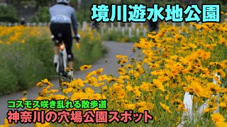 神奈川の穴場公園スポット 境川遊水地公園