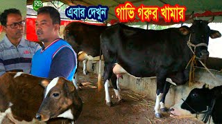 বকনা থেকে গাভি তৈরি করে আজ সফল খামাড়ী - সিরাজগঞ্জের খোকন । Cow Farming | Rakhal Bondhu bd