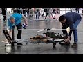 GIANT RC AH-64 APACHE 1:7 SCALE MODEL HELICOPTER FROM VARIO INDOOR FLIGHT / Intermodellbau 2016 GIANT RC AH-64 APACHE 1:7 SCALE MODEL HELICOPTER FROM VARIO INDOOR FLIGHT / Intermodellbau 2016