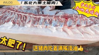 东北大集本地黑猪肉，520斤太肥了吃出满嘴流油的感觉，童年味道