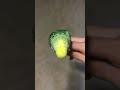 another short of niko the budgie hope you like it