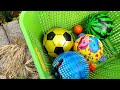 menemukan banyak bola hewan mainan bola warna warni bola karakter bola basket bola frozen bola socer